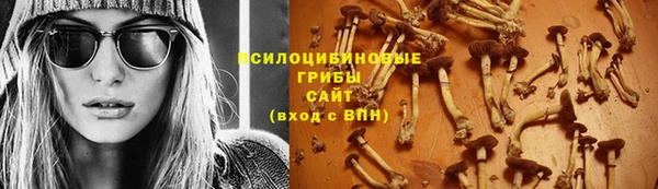 apvp Пролетарск